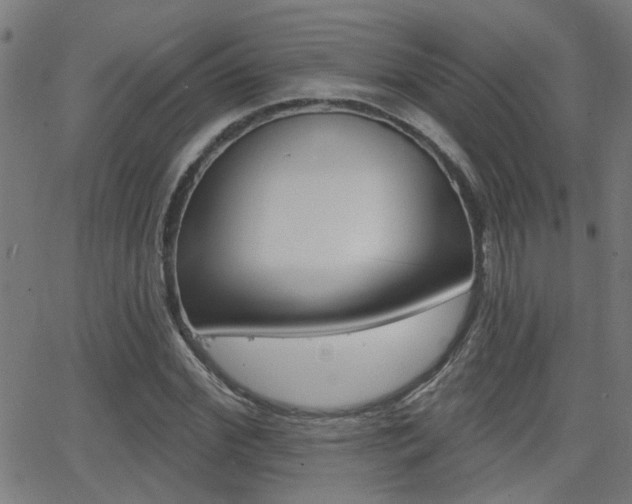 X0000062910972200601131102
