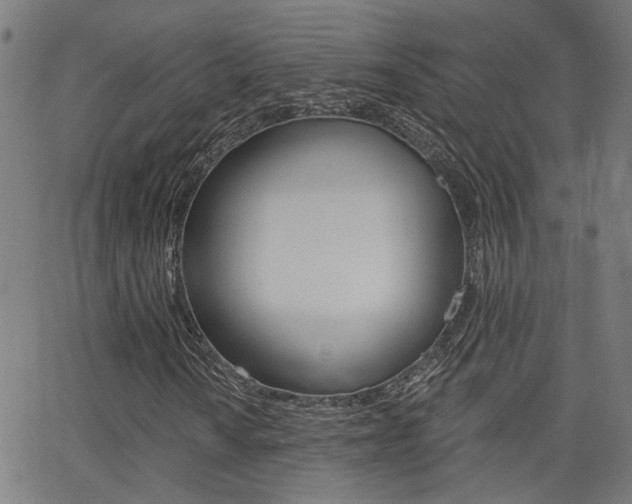 X0000062911010200601131100