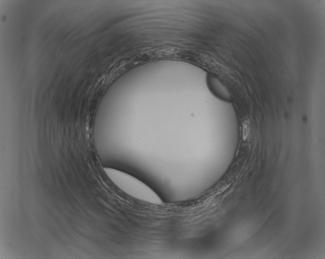 X0000062911011200601131100