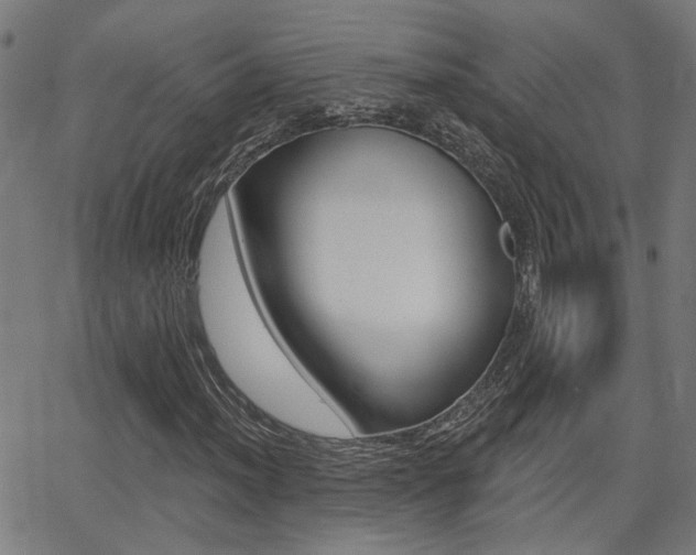 X0000062911012200601131100