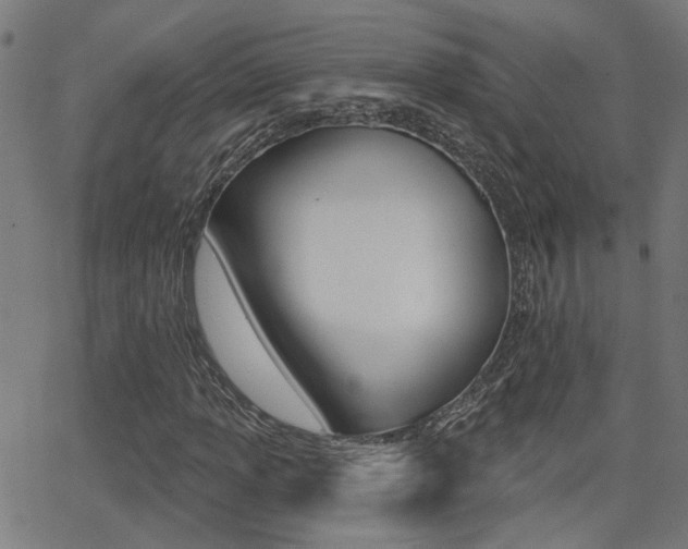 X0000062911013200601131100