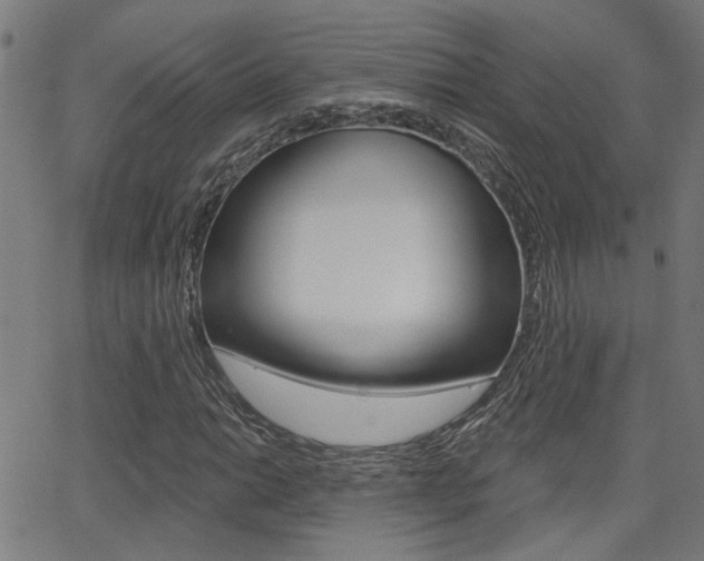 X0000062911014200601131100