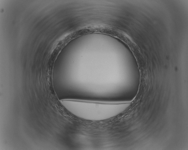 X0000062911016200601131100