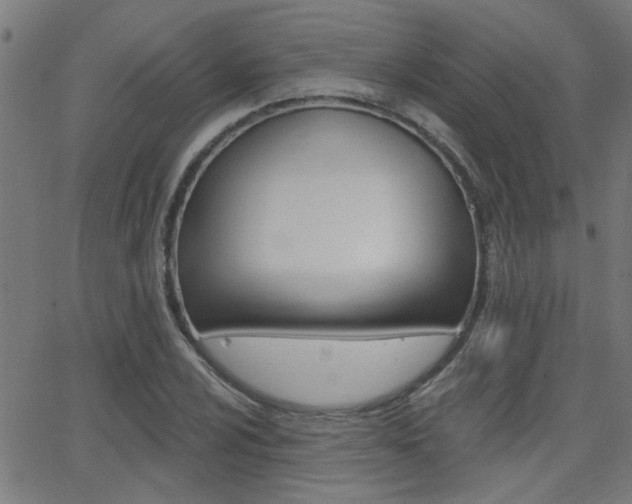 X0000062911024200601131100