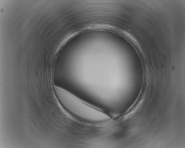 X0000062911041200601131101
