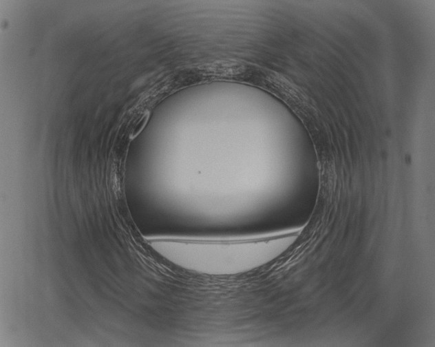 X0000062911058200601131100