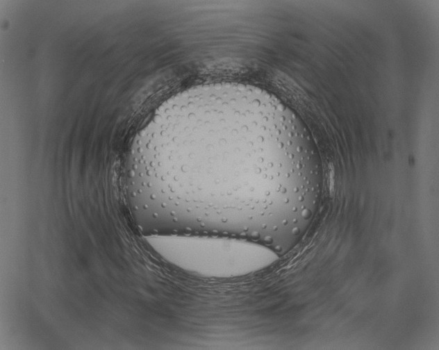X0000062911059200601131100
