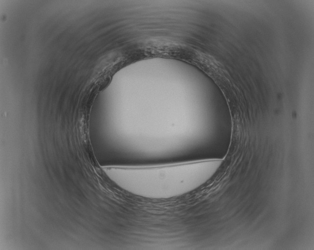 X0000062911060200601131100