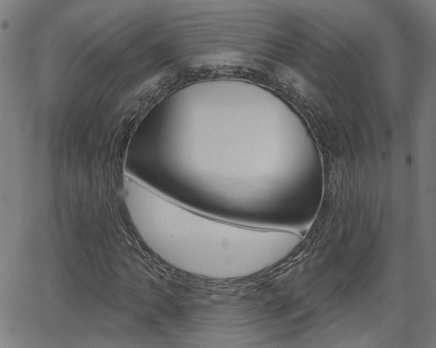 X0000062911062200601131100