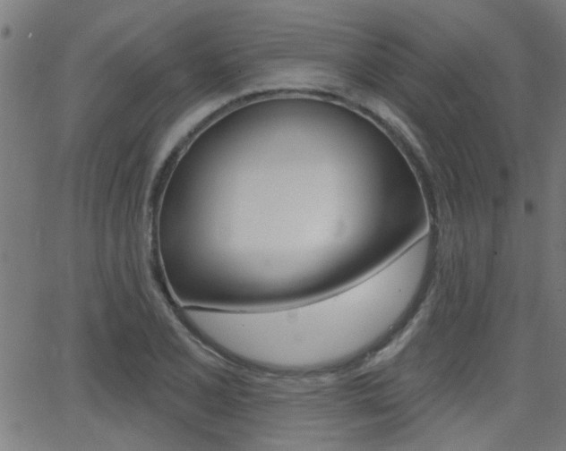 X0000062911077200601131100