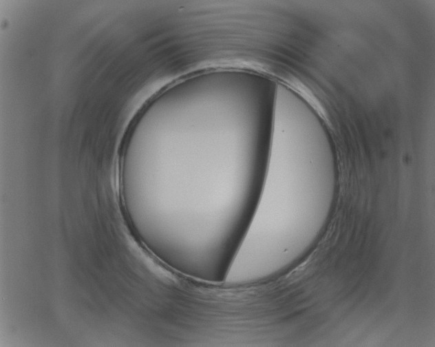 X0000062911084200601131100