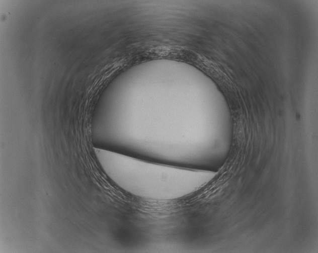 X0000062911105200601131059
