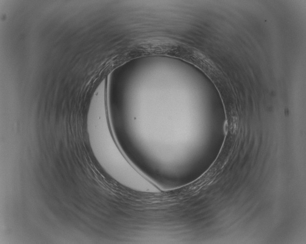 X0000062911108200601131059