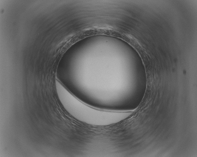 X0000062911110200601131059
