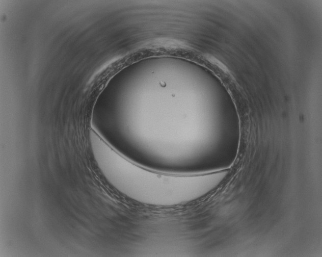X0000062911112200601131059