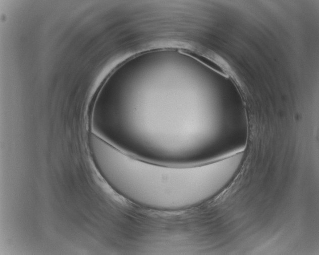 X0000062911140200601131059