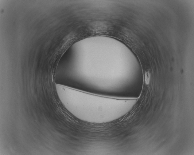 X0000062911155200601131059