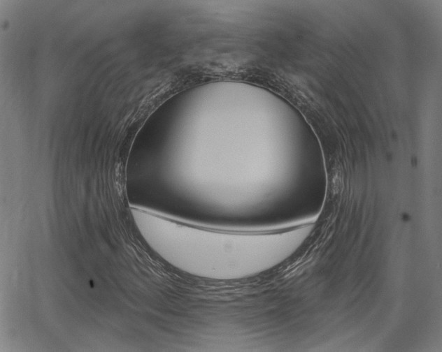 X0000062911156200601131059