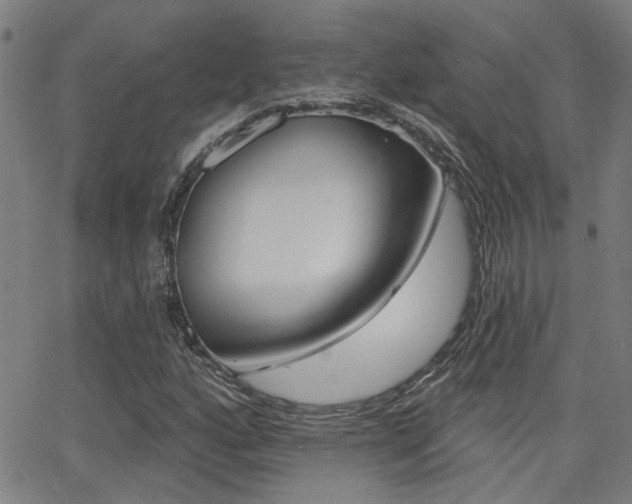 X0000062911160200601131059