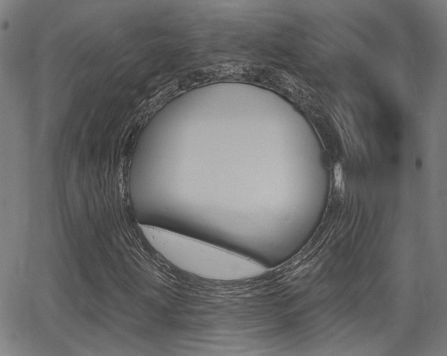 X0000062911203200601131057