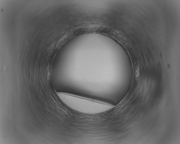 X0000062911204200601131057