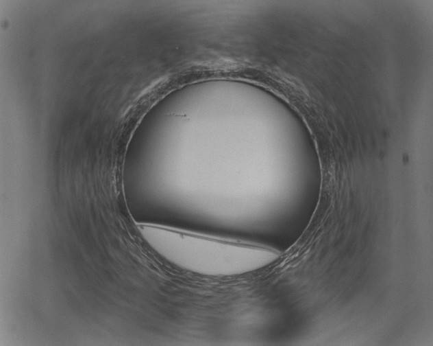 X0000062911205200601131057