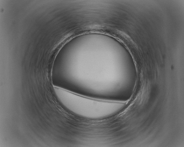 X0000062911209200601131057