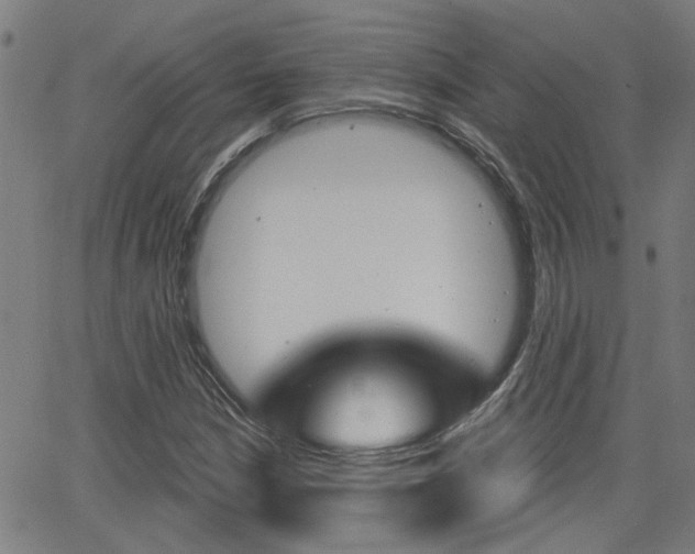 X0000062911210200601131057