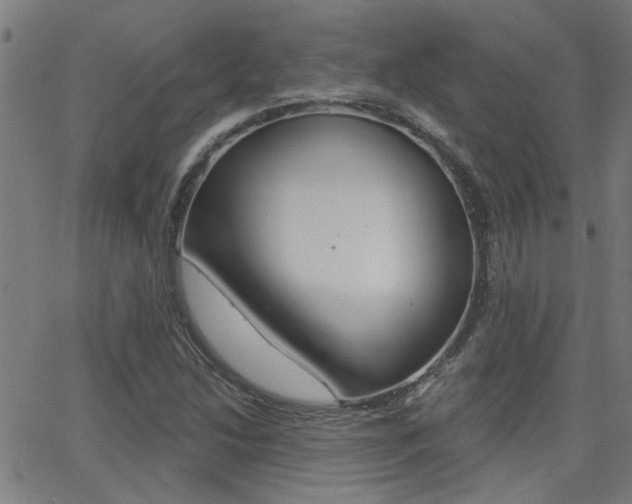 X0000062911214200601131057