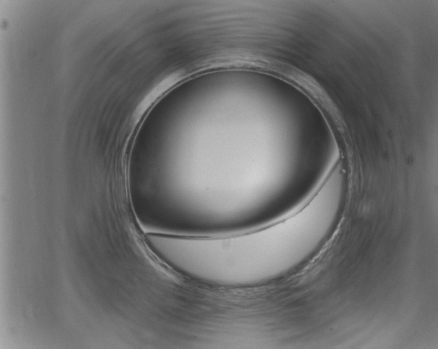 X0000062911242200601131058