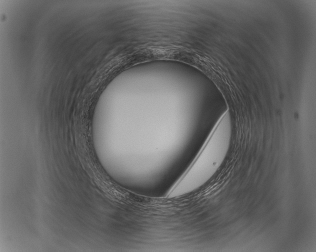 X0000062911249200601131057