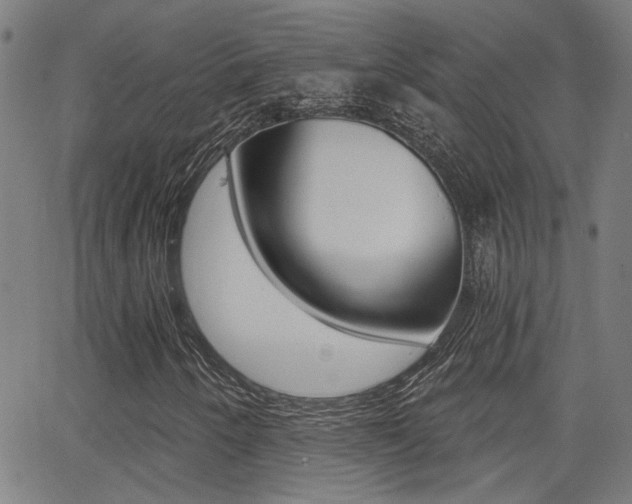 X0000062911250200601131057