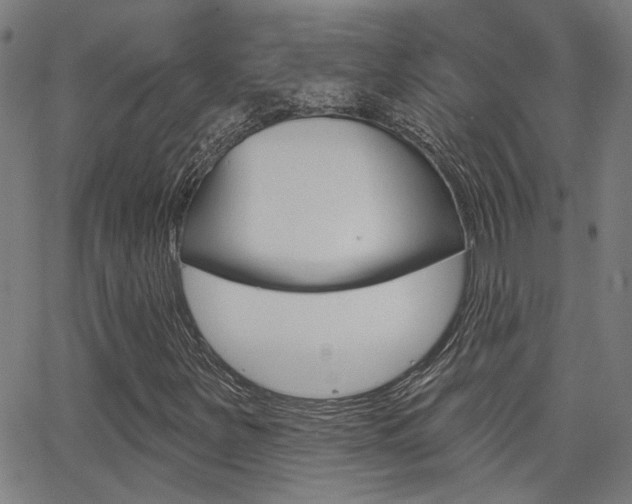 X0000062911251200601131057