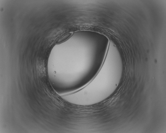 X0000062911252200601131057
