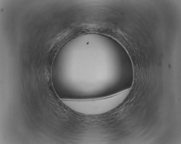 X0000062911253200601131057