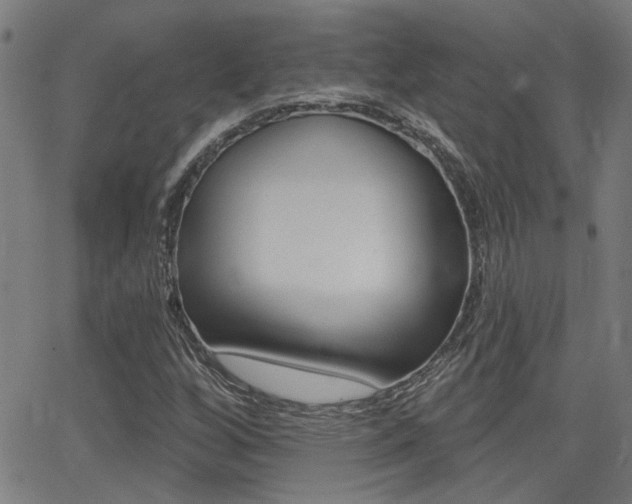 X0000062911256200601131057