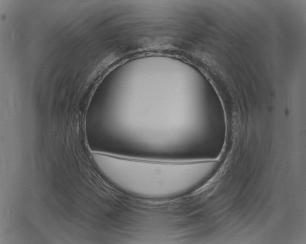 X0000062911257200601131057