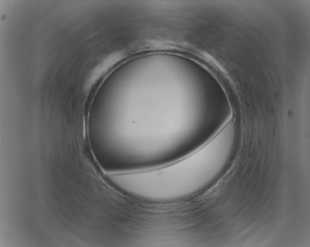 X0000062911269200601131057