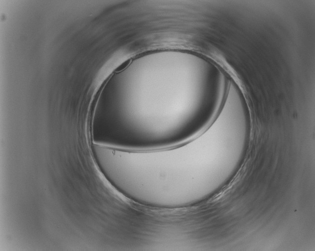 X0000062911293200601131056