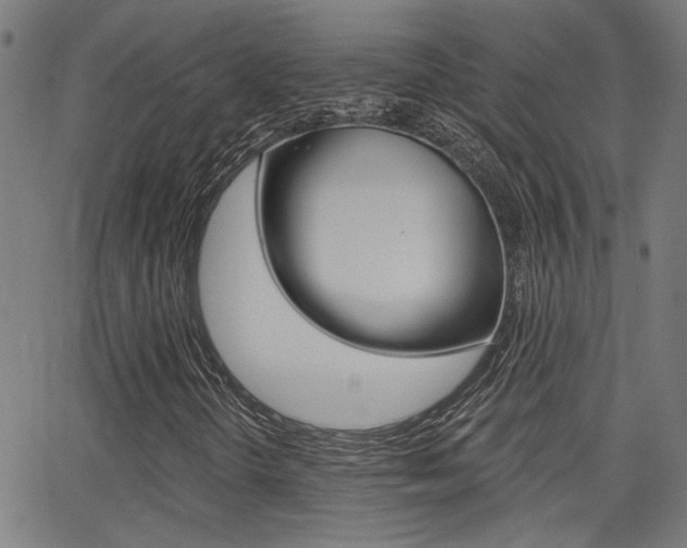 X0000062911298200601131055