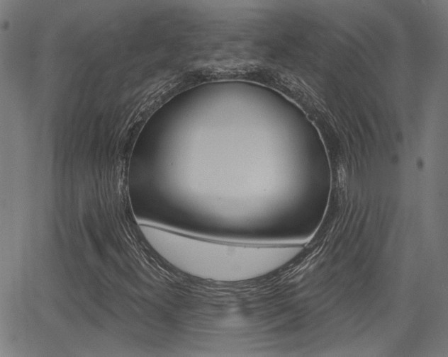 X0000062911300200601131055