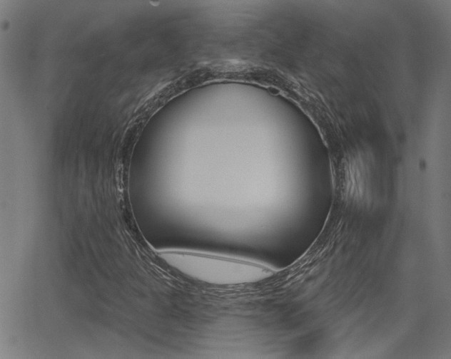 X0000062911301200601131055