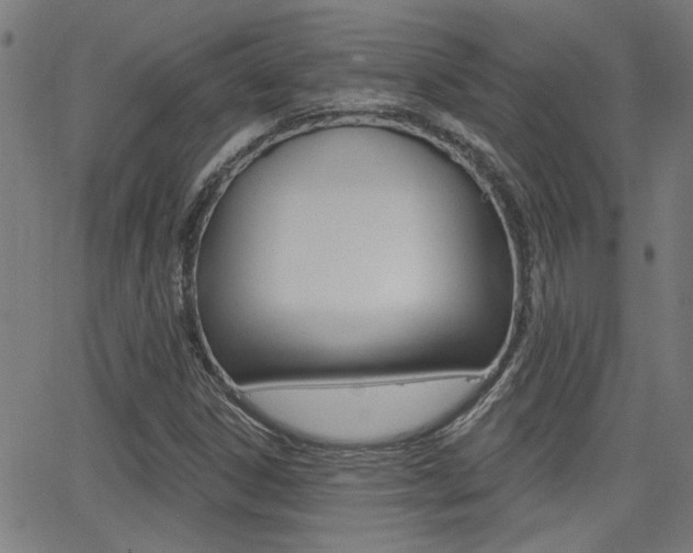 X0000062911306200601131056