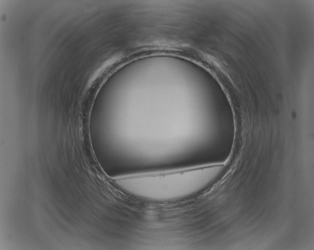 X0000062911307200601131056