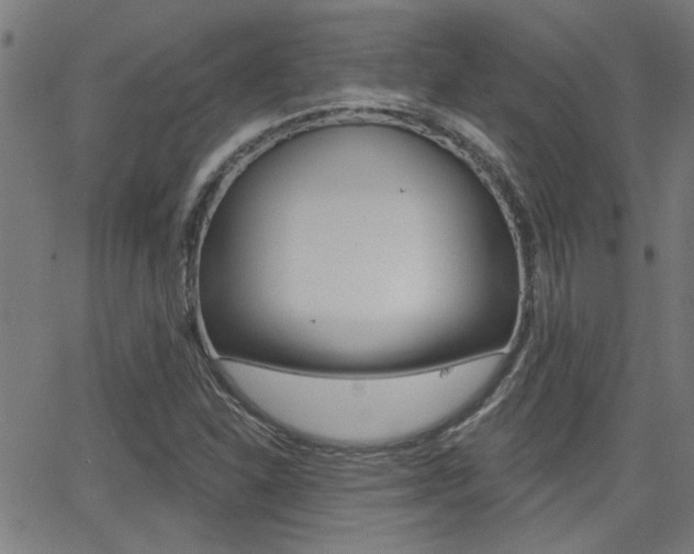 X0000062911310200601131056