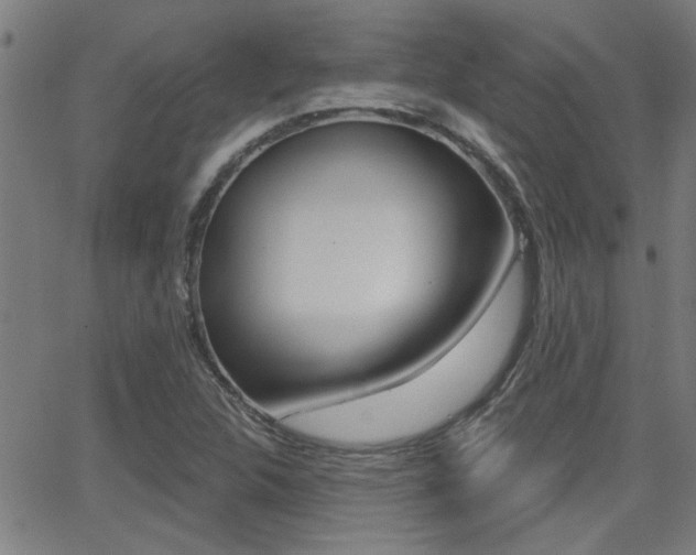 X0000062911312200601131056