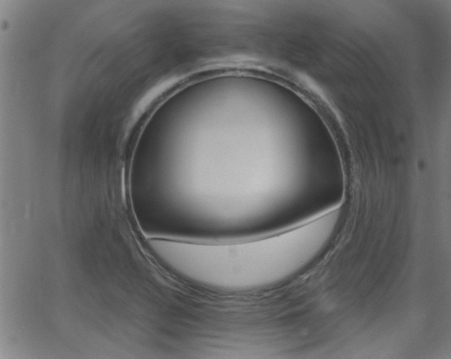 X0000062911320200601131056