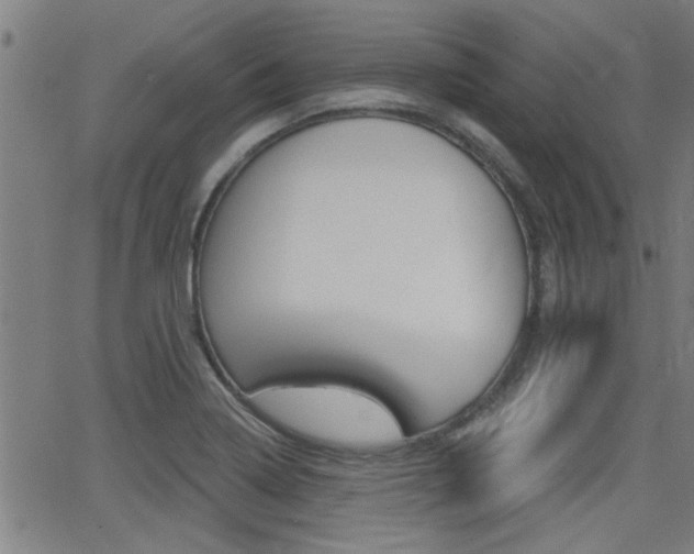 X0000062911322200601131056
