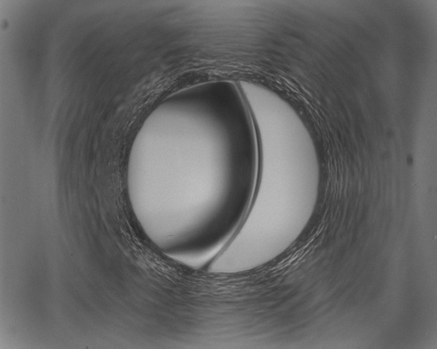X0000062911345200601131055