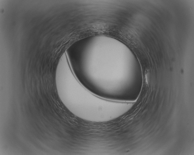 X0000062911347200601131055